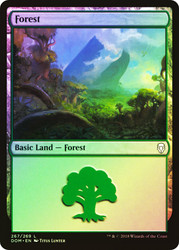 Forest (#267)\nDominaria\nSingle\nMagic The Gathering