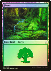 Forest (#269)\nDominaria\nSingle\nMagic The Gathering