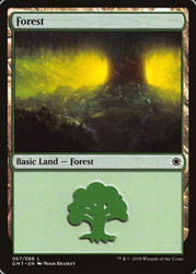 Forest (#67)\nGame Night: 2018\nSingle\nMagic The Gathering