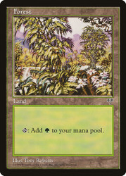 Forest (A)\nMirage\nSingle\nMagic The Gathering