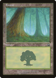 Forest (#347)\nMercadian Masques\nSingle\nMagic The Gathering