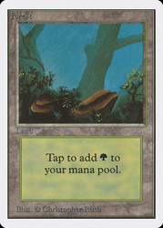 Forest (B)\nUnlimited\nSingle\nMagic The Gathering