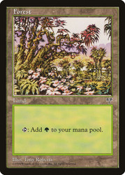 Forest (B)\nMirage\nSingle\nMagic The Gathering