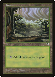 Forest (D)\nTempest\nSingle\nMagic The Gathering