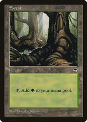 Forest (C)\nTempest\nSingle\nMagic The Gathering