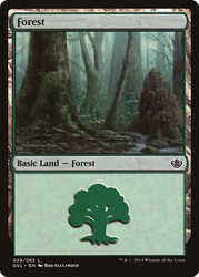 Forest (#28) (Garruk vs. Liliana)\nDuel Decks: Anthology\nSingle\nMagic The Gathering