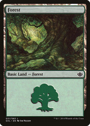Forest (#31) (Garruk vs. Liliana)\nDuel Decks: Anthology\nSingle\nMagic The Gathering