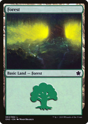 Forest (#63)\nGame Night: 2019\nSingle\nMagic The Gathering