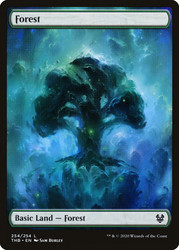 Forest (#254) (Full Art)\nTheros Beyond Death\nSingle\nMagic The Gathering