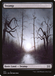 Swamp (#377) (Full Art)\nDouble Masters\nSingle\nMagic The Gathering