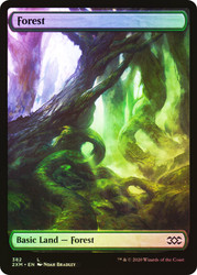 Forest (#382) (Full Art)\nDouble Masters\nSingle\nMagic The Gathering