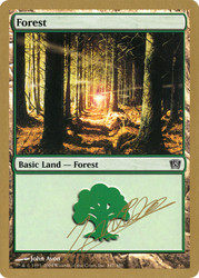 Forest (2004 Julien Nuijten) (8th Edition) (#347) (Not Tournament Legal)\nWorld Championship\nSingle\nMagic The Gathering