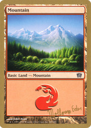 Mountain (2003 Wolfgang Eder) (8th Edition) (#343) (Not Tournament Legal)\nWorld Championship\nSingle\nMagic The Gathering