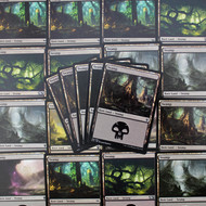 MTG Basic Lands  - Swamp
Lots & Collections