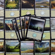 MTG Basic Lands - Plains (Foil)
Lots & Collections