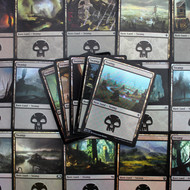 MTG Basic Lands - Swamp (Foil)
Lots & Collections