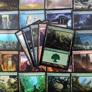 MTG Basic Lands (Foil) (Heavily Played)
Lots & Collections