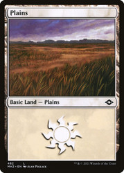 Plains (#482)\nModern Horizons 2\nSingle\nMagic The Gathering