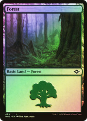 Forest (#489)\nModern Horizons 2\nSingle\nMagic The Gathering