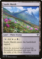 Sunlit Marsh\nDominaria United\nSingle\nMagic The Gathering