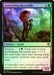 Sunbathing Rootwalla
Dominaria United
Single
Magic: The Gathering