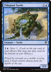 Tidepool Turtle\nDominaria United\nSingle\nMagic The Gathering