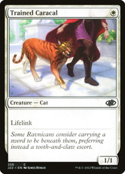 Trained Caracal\nJumpstart 2022\nSingle\nMagic The Gathering