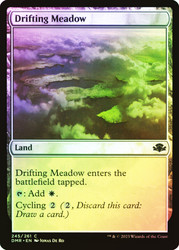 Drifting Meadow\nDominaria Remastered\nSingle\nMagic The Gathering