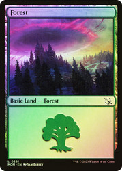 Forest (#281) (Regular Art)\nMarch of the Machine\nSingle\nMagic The Gathering