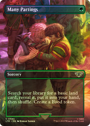 Many Partings (Borderless)\nThe Lord of the Rings - Variants\nSingle\nMagic The Gathering