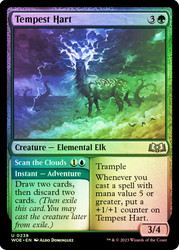 Tempest Hart // Scan the Clouds\nWilds of Eldraine\nSingle\nMagic The Gathering