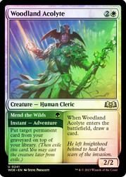 Woodland Acolyte // Mend the Wilds\nWilds of Eldraine\nSingle\nMagic The Gathering