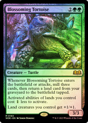 Blossoming Tortoise (Promo Pack) (Wilds of Eldraine)\nPromo: Planeswalker Stamped\nSingle\nMagic The Gathering