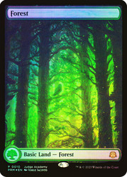 Forest (Judge) (#010) (Full Art)\nPromo: General\nSingle\nMagic The Gathering