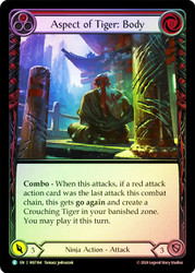 Aspect Of Tiger Body