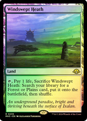 Windswept Heath\nModern Horizons 3\nSingle\nMagic The Gathering