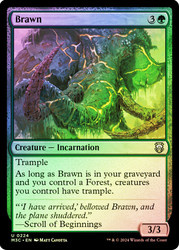 Brawn (Ripple Foil)\nModern Horizons 3 Commander - Alternate Foil\nSingle\nMagic The Gathering