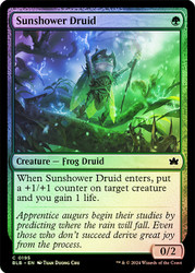 Sunshower Druid\nBloomburrow\nSingle\nMagic The Gathering