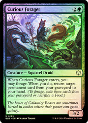 Curious Forager\nBloomburrow\nSingle\nMagic The Gathering
