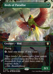 Birds of Paradise (Borderless)\nBloomburrow Commander - Variants\nSingle\nMagic The Gathering