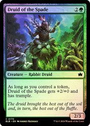 Druid of the Spade\nBloomburrow\nSingle\nMagic The Gathering