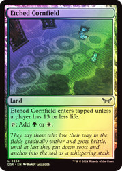 Etched Cornfield\nDuskmourn: House of Horror\nSingle\nMagic The Gathering