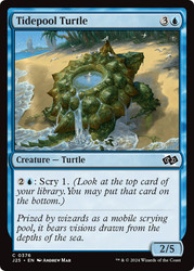 Tidepool Turtle\nFoundations Jumpstart\nSingle\nMagic The Gathering
