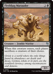 Fleshbag Marauder\nAetherdrift Commander\nSingle\nMagic The Gathering