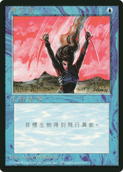 Flight (BB)
4th Edition - Black Border - Chinese - Traditional
Single
Magic: The Gathering