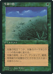 Lifelace (BB)
4th Edition - Black Border - Japanese
Single
Magic: The Gathering