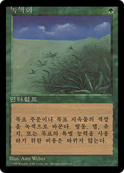 Lifelace (BB)\n4th Edition - Black Border - Korean\nSingle\nMagic The Gathering