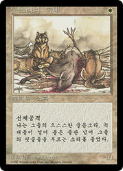 Tundra Wolves (BB)\n4th Edition - Black Border - Korean\nSingle\nMagic The Gathering