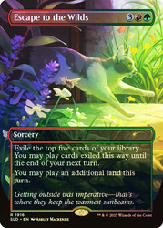 Escape to the Wilds (Secret Lair) (#1916) (Borderless)\nPromo: General\nSingle\nMagic The Gathering