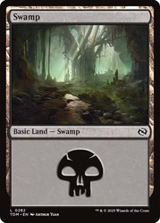 Swamp (#282)\nTarkir: Dragonstorm\nSingle\nMagic The Gathering